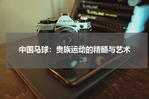 中国马球：贵族运动的精髓与艺术