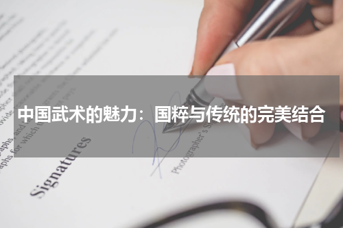 中国武术的魅力：国粹与传统的完美结合