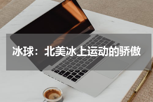 冰球：北美冰上运动的骄傲
