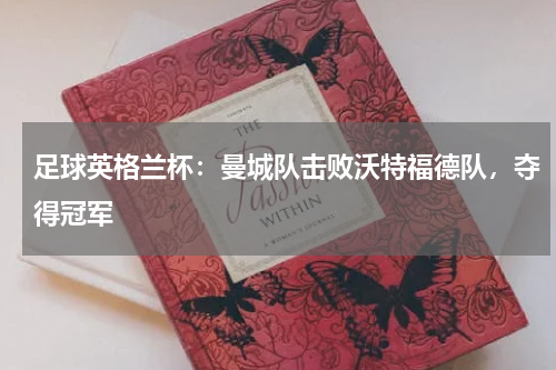 足球英格兰杯：曼城队击败沃特福德队，夺得冠军