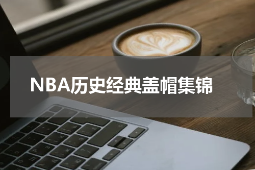 NBA历史经典盖帽集锦