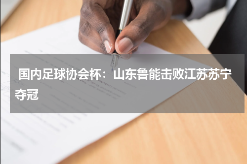  国内足球协会杯：山东鲁能击败江苏苏宁夺冠