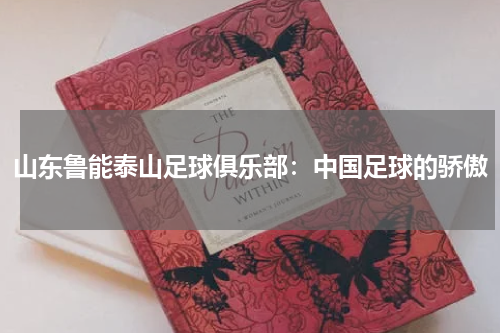 山东鲁能泰山足球俱乐部：中国足球的骄傲