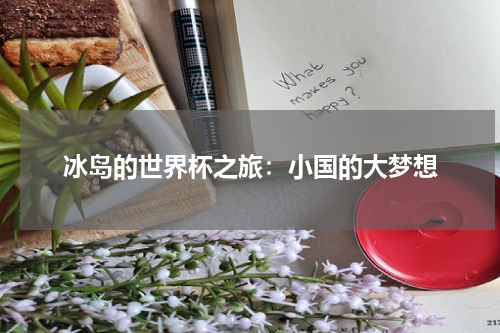 冰岛的世界杯之旅：小国的大梦想