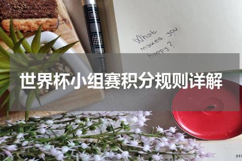 世界杯小组赛积分规则详解