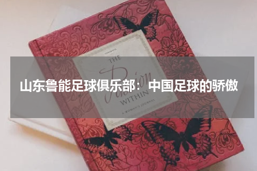 山东鲁能足球俱乐部：中国足球的骄傲