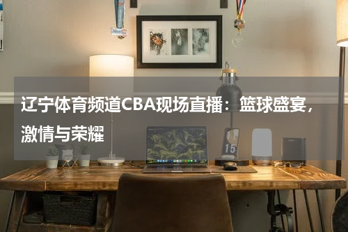 辽宁体育频道CBA现场直播：篮球盛宴，激情与荣耀